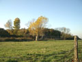 Fort Borstal photo Charles Taylor