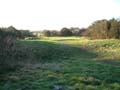 Photo Charles Taylor