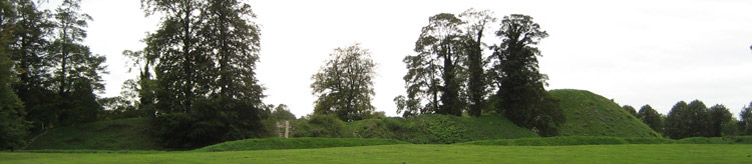 Thetford Castle