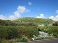 East Battery photo Charles Taylor