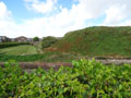 West Battery photo Charles Taylor