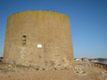 Martello Tower 15 photo Charles Taylor, 2018