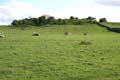 Original motte photo Andrew Tivenan