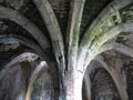 Vaulted ceiling photo &copy;Paul R. Davis