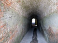 Tunnel photo Charles Taylor
