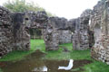 Poltross Burn Mile Castle 48 photo Andrew Tivenan