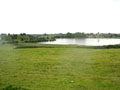 The motte from bailey, the outline of the surrounding mere clearly shown by flooding. Photo Philip Davis