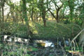 Moated Site photo Andrew Tivenan