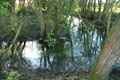 Moated Site photo Andrew Tivenan