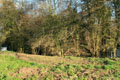 Moated Site photo Andrew Tivenan