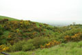 Green Castle Wooler photo Andrew Tivenan