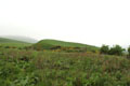 Green Castle Wooler photo Andrew Tivenan